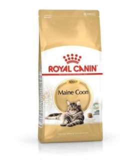 ROYAL CANIN FBN Maine Coon Adult dry cat food - 10kg