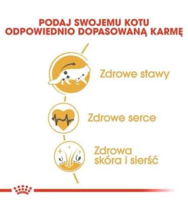 ROYAL CANIN FBN Maine Coon Adult dry cat food - 10kg