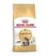 ROYAL CANIN FBN Maine Coon Adult dry cat food - 10kg