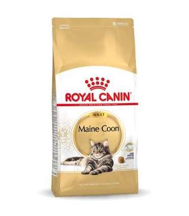 ROYAL CANIN FBN Maine Coon Adult dry cat food - 10kg
