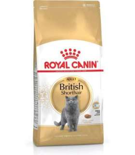 ROYAL CANIN British Shorthair FBN Adult - dry cat food - 400g