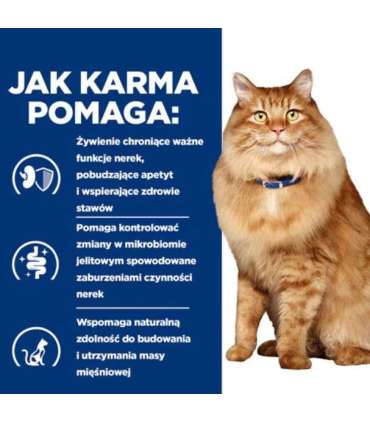 HILL'S PD K/D Kidney + Mobility Chicken - dry cat food - 3kg