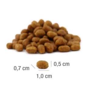 PLATINUM MeatCrisp Adult Fish - dry cat food - 400g
