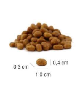 PLATINUM MeatCrisp Kitten Fish - dry cat food - 3kg