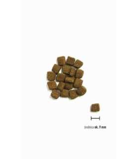 ORIJEN Small Breed Marine Fish - dry dog food - 1,8kg