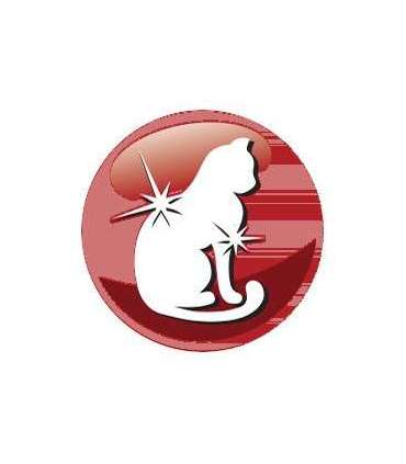 PREVITAL Cat Food Adult with Beef - Dry Cat Food - 1.4 kg