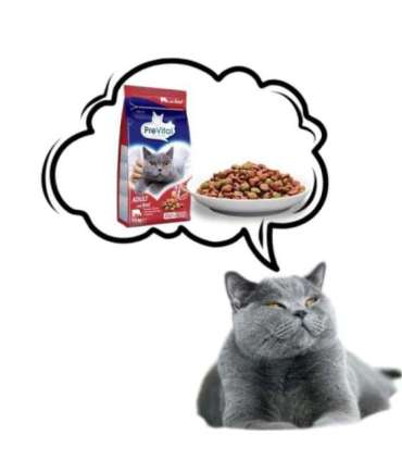 PREVITAL Cat Food Adult with Beef - Dry Cat Food - 1.4 kg