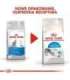 ROYAL CANIN Indoor 27 Adult - dry cat food - 400g