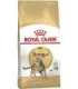 ROYAL CANIN FBN Bengal Adult - dry cat food - 10kg