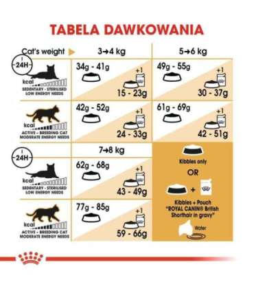 Royal Canin British Shorthair Adult cats dry food 4 kg