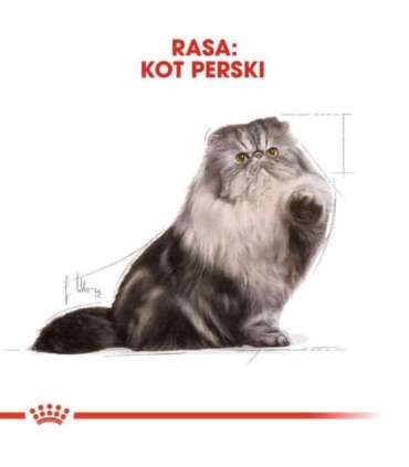 Royal Canin Persian cats dry food 4 kg Adult Maize, Poultry