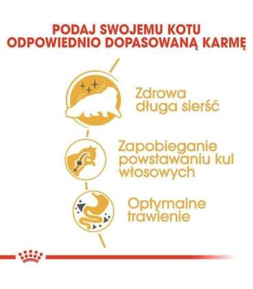 Royal Canin Persian cats dry food 4 kg Adult Maize, Poultry