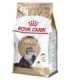 Royal Canin Persian cats dry food 4 kg Adult Maize, Poultry