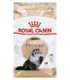Royal Canin Persian cats dry food 4 kg Adult Maize, Poultry