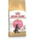 ROYAL CANIN Maine coon FBN Kitten - dry cat food - 400g
