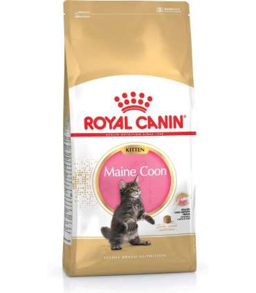 ROYAL CANIN Maine coon FBN Kitten - dry cat food - 400g