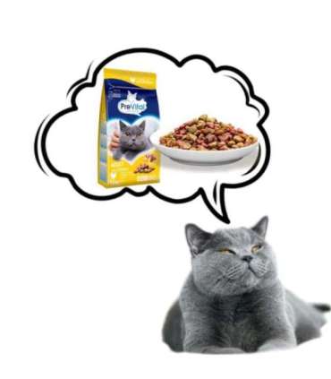 PREVITAL Cat Food Adult with Chicken - Dry Cat Food - 1.4 kg