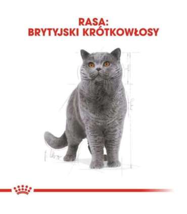 ROYAL CANIN FBN British Shorthair Adult dry cat food - 10 kg