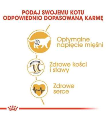 ROYAL CANIN FBN British Shorthair Adult dry cat food - 10 kg