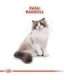 ROYAL CANIN Ragdoll FBN Adult - dry cat food - 400g