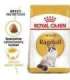 ROYAL CANIN Ragdoll FBN Adult - dry cat food - 400g
