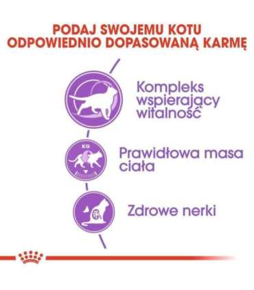 ROYAL CANIN Sterilised 7+ - dry cat food - 10 kg