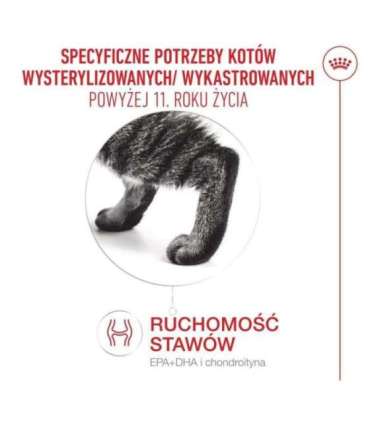 ROYAL CANIN Ageing 11+ Sterilised - dry cat food - 4kg