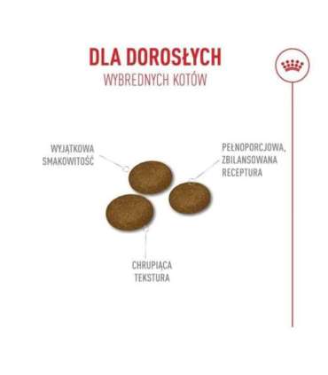 ROYAL CANIN Ageing 11+ Sterilised - dry cat food - 4kg