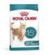 ROYAL CANIN Ageing 15+ - dry cat food - 2kg
