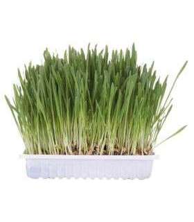 TRIXIE 4235 dog / cat treat 100 g