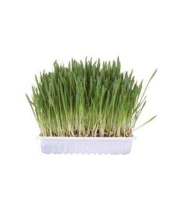 TRIXIE 4235 dog / cat treat 100 g