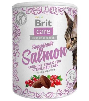 BRIT Care Superfruits Salmon - cat treats - 100 g