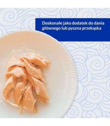 INABA Grilled Chicken Fillet in chicken flavored broth - cat treats - 25 g