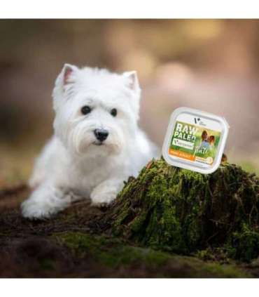 RAW PALEO Pate Mini Adult Beef - wet dog food - 150 g