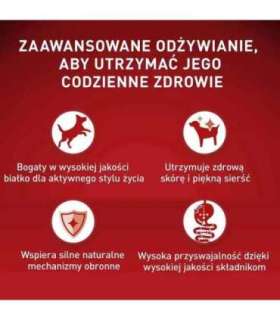 PURINA One Mini/Small Active Beef  - wet dog food - 85g