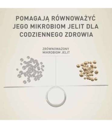 PURINA One Mini/Small Active Beef  - wet dog food - 85g