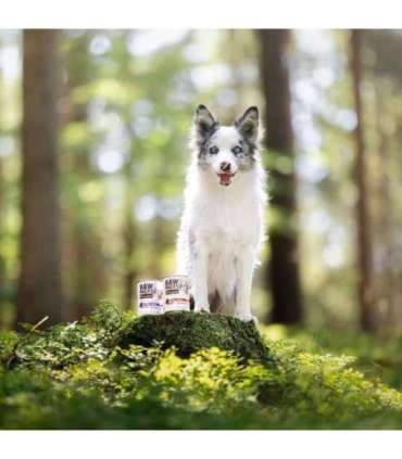 RAW PALEO Puppy Monoprotein Duck - wet food for puppies - 400 g