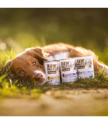 RAW PALEO Adult Monoprotein Duck - wet dog food - 400 g