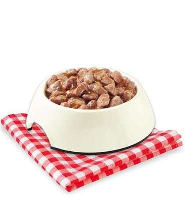 STUZZY Sea fish in jelly - wet dog food - 100g