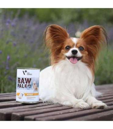 RAW PALEO Adult Monoprotein Turkey - wet dog food - 400 g