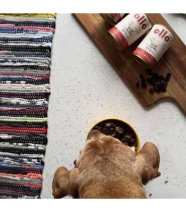 OLLO Pure Pork - wet dog food - 850g