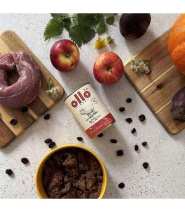 OLLO Pure Pork - wet dog food - 850g