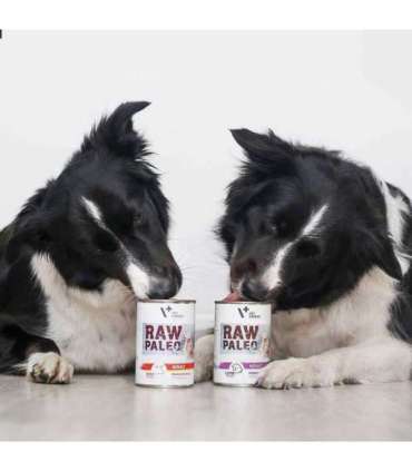 RAW PALEO Adult Monoprotein Beef - wet dog food - 400 g