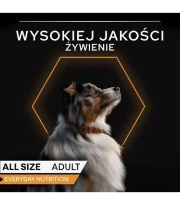 PURINA Pro Plan Everyday nutrition All size Adult Fish in jelly - wet dog food - 400g