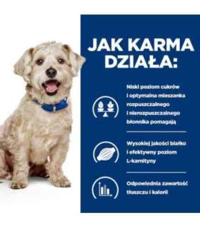 HILL'S Prescription Diet Diabetes Care Chicken - wet dog food - 370g