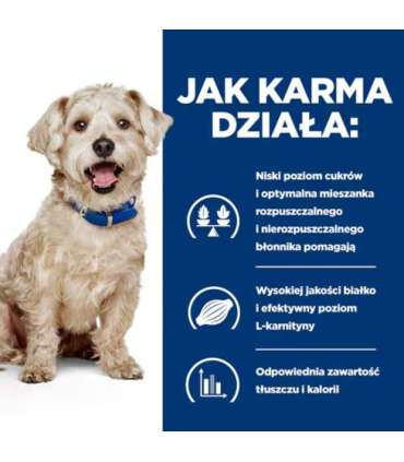 HILL'S Prescription Diet Diabetes Care Chicken - wet dog food - 370g