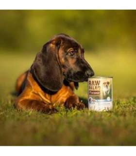 RAW PALEO Puppy Monoprotein Cod - wet food for puppies - 400 g