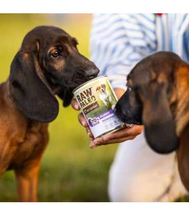 RAW PALEO Adult Monoprotein Duck - wet dog food - 800 g