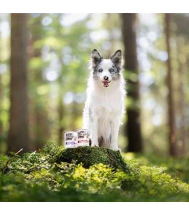 RAW PALEO Adult Monoprotein Duck - wet dog food - 800 g