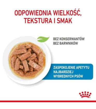 ROYAL CANIN Maxi Puppy SHN - wet dog food - 10x140g